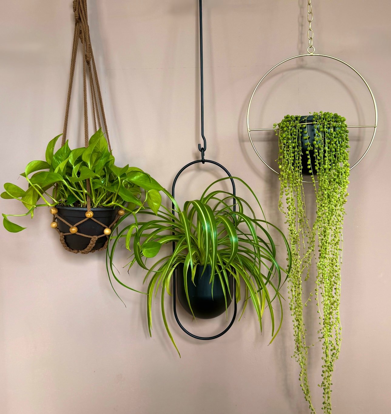 Top 5 Best Plant Hanger Styles