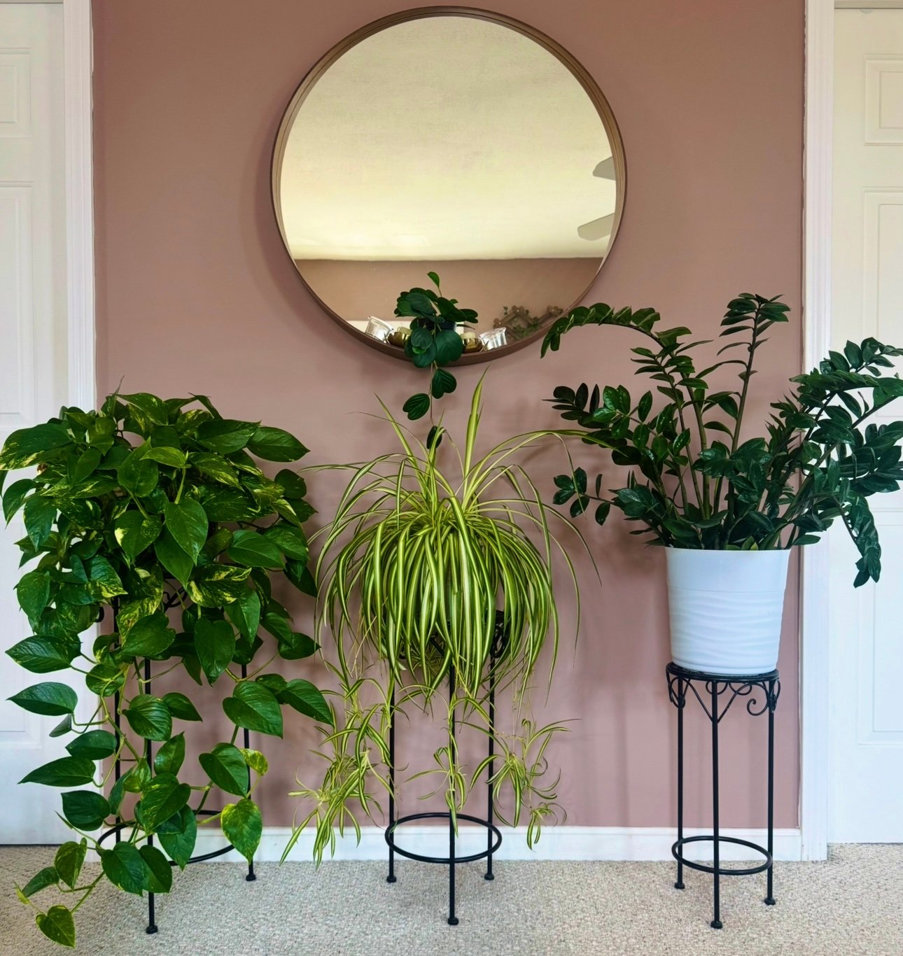 Create your own Plant Oasis with hanging planters, stands, and shelves